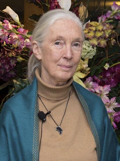 Photo of Jane Goodall.

Image despicts Jane Goodhall with silver-grey hair pulled back loosely, wearing a camel turtleneck sweater beneath a teal cardigan. Around her neck she wears a small pendant in the shape of the African continent.

https://en.wikipedia.org/wiki/Jane_Goodall#/media/File:Deputy_Secretary_Higginbottom_Poses_for_a_Photo_With_Dr._Jane_Goodall_and_the_State_Department's_Global_Health_Diplomacy_Director_Jordan_in_Washington_(22365513310)_(2)_(cropped_2).jpg