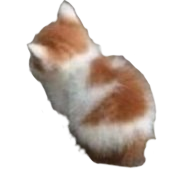 :angy2: