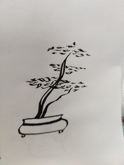 A bad drawing of a bonsai tree in a round pot. The trunk is thick and tall with a thin branch reaching to the right. Leaves bush out in layers around  the trunk and a small branch