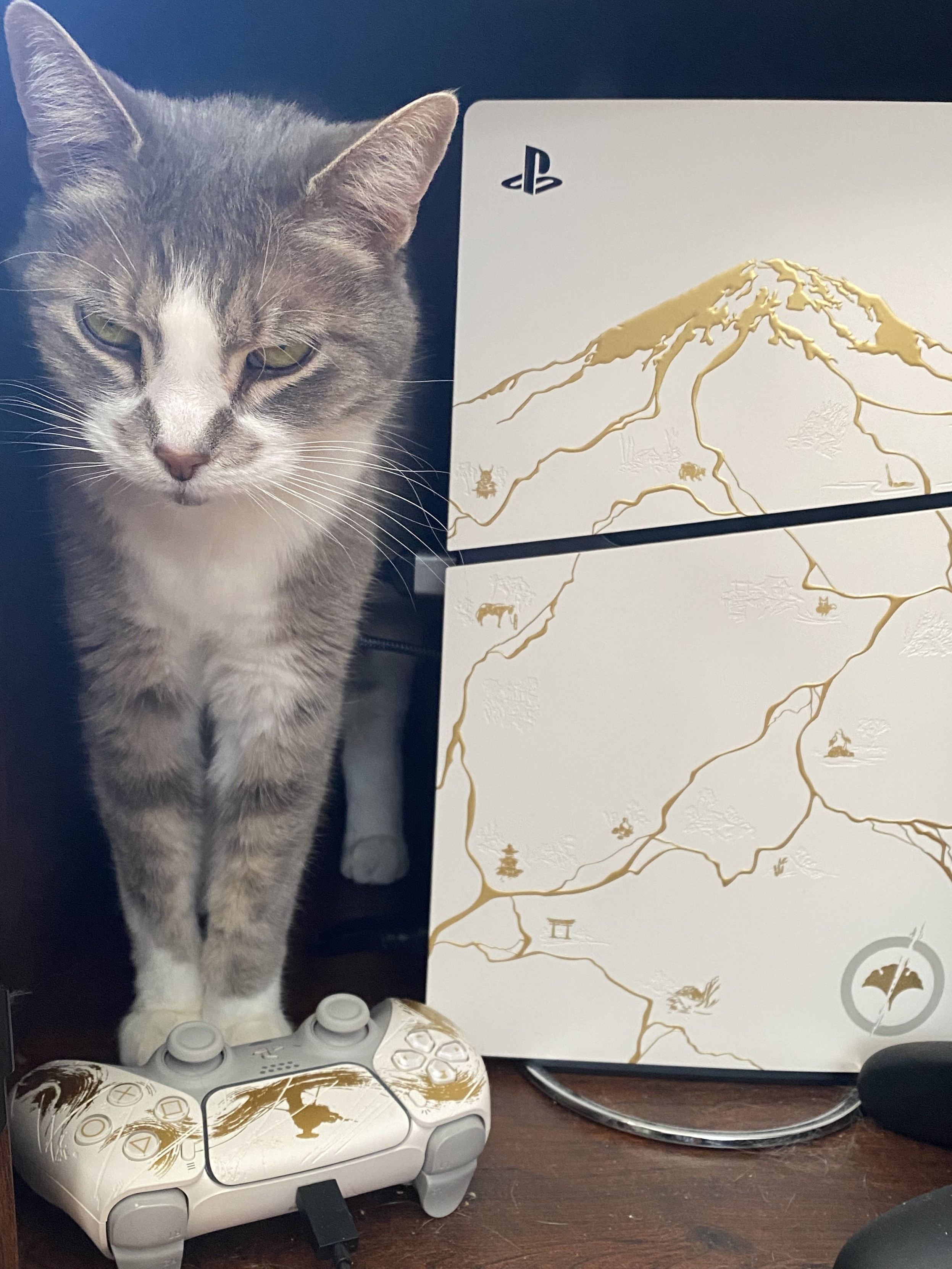 Picture is a photo of a cat standing next to a white limited edition Ghost of Yotei PlayStation 5 that is in the upright position. The cat is facing forwards with a PlayStation 5 controller at her feet. She is a small cat and skinny. She has a white chest and white paws and otherwise is a short haired grey and white tabby. She is looking at the camera with squinty and grumpy eyes as I accidentally woke her up, trying to take a photo of her using the controller as a pillow.