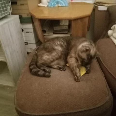 Posted media