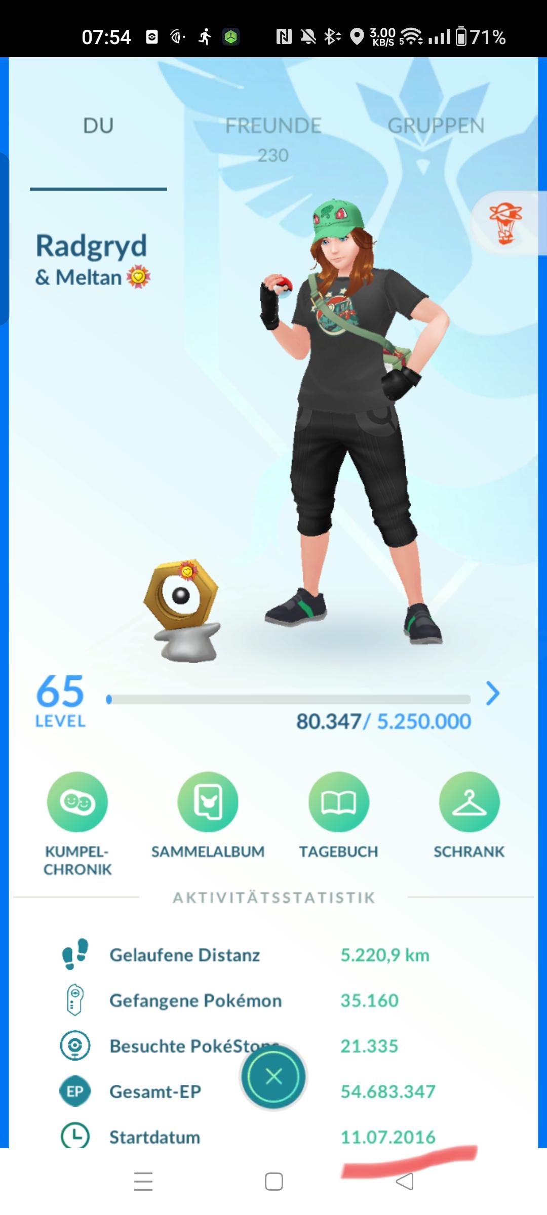 A screenshot of my Pokémon GO profile. My buddy is max level - Meltan with a sticker on its head. 

You can also see the following stats:

Distance walked: 5.220,9 km
Caught Pokémon: 35.160
Visited Pokéstops: 21.335
Total EXP: 54.683.347
Starting date: 11. July 2016
